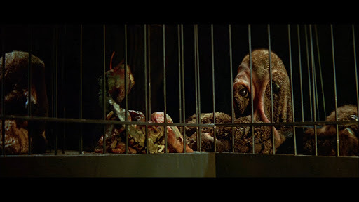 El monstruo del terror